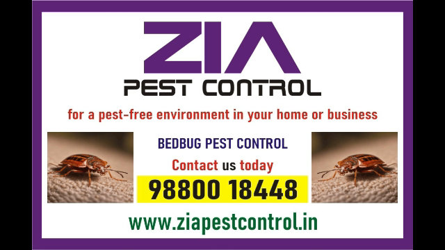 Bedbugs services near me  | Zia Pest control | Upto 40% Off | 100% safe | 2086