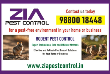 Zia Pest Control | Cockroach service just Rs. 799/- | Residence | 2070 |