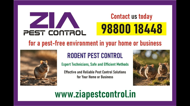 Zia Pest Control | Cockroach service just Rs. 799/- | Residence | 2070 |