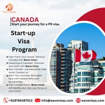 Wave Visas | Professional Visa and canada Immigration Support