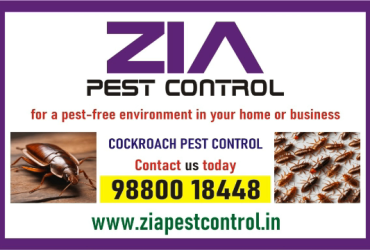 Herbal Pest Control  | Cockroach Pest Treatment Bangalore | 3045