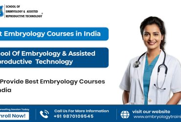 Get the Best Embryology course in India : SEART