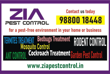 Cockroach Pest control | Special discount 50% Off  for Paying Guest | 3041