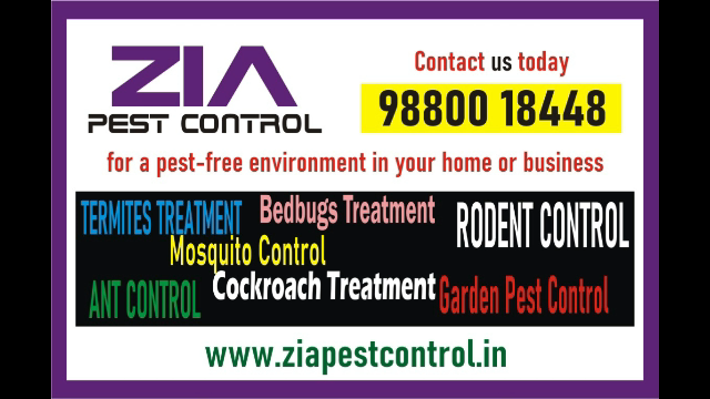 Cockroach Pest control | Special discount 50% Off  for Paying Guest | 3041