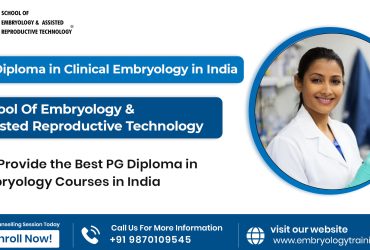 PG Diploma in Clinical Embryology in India: SEART